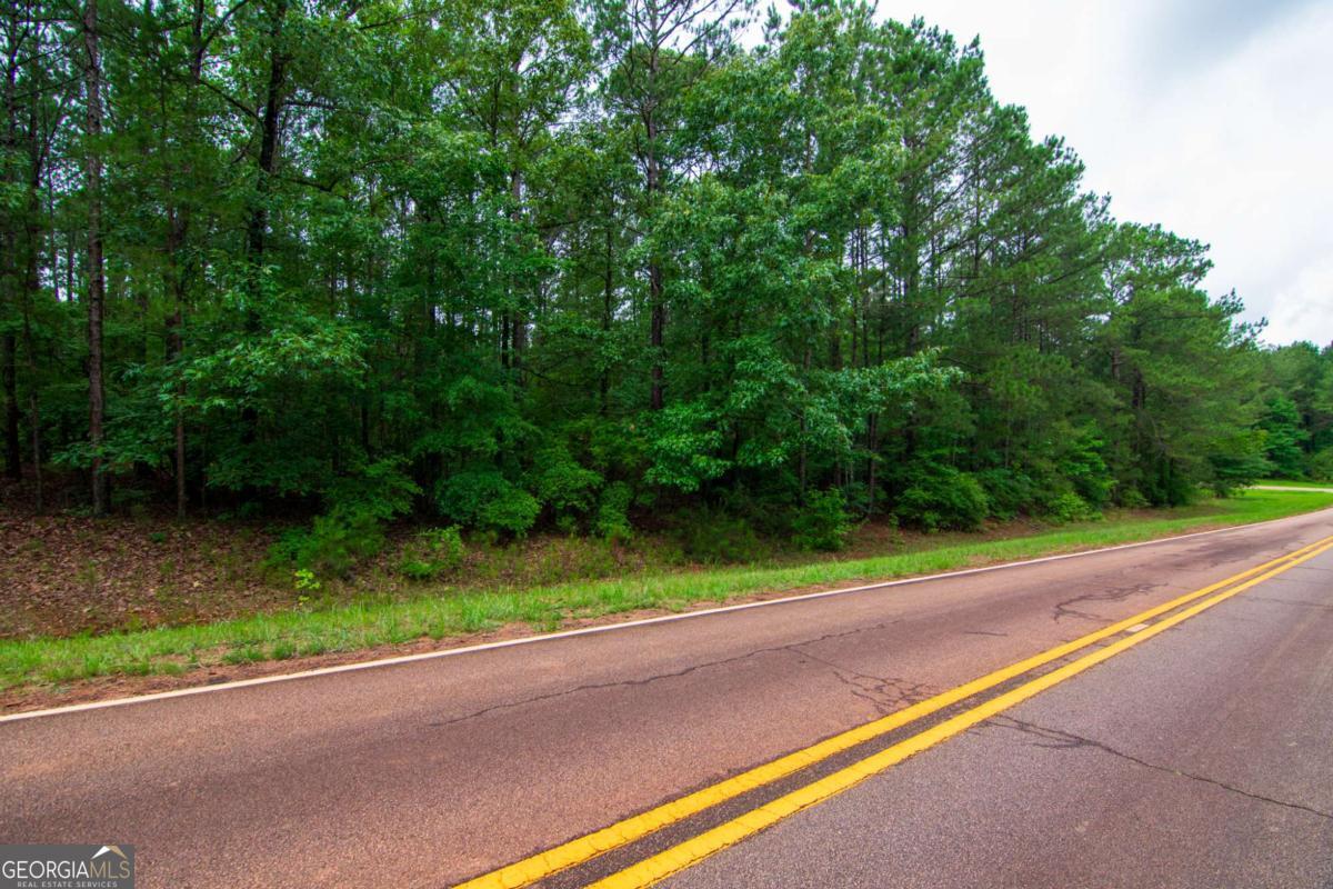 0 White Road Pine Mountain GA 31822