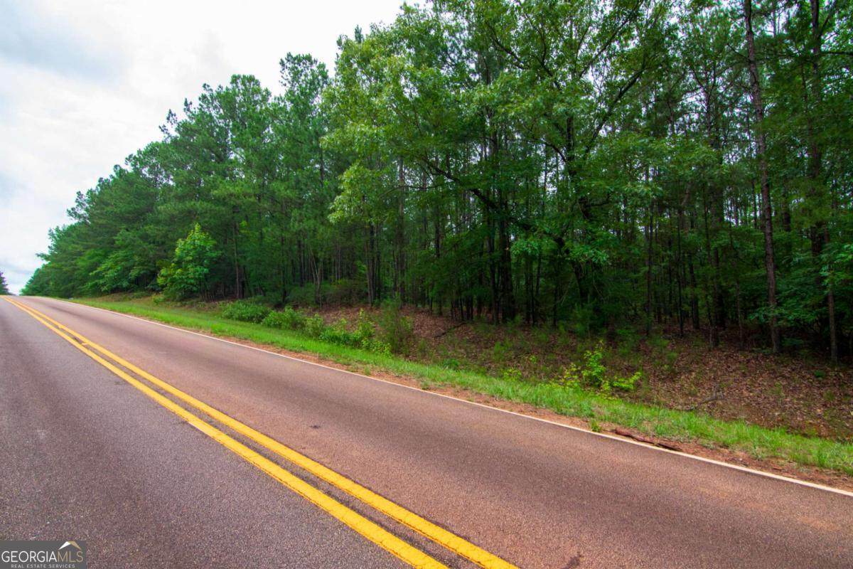 0 White Road Pine Mountain GA 31822