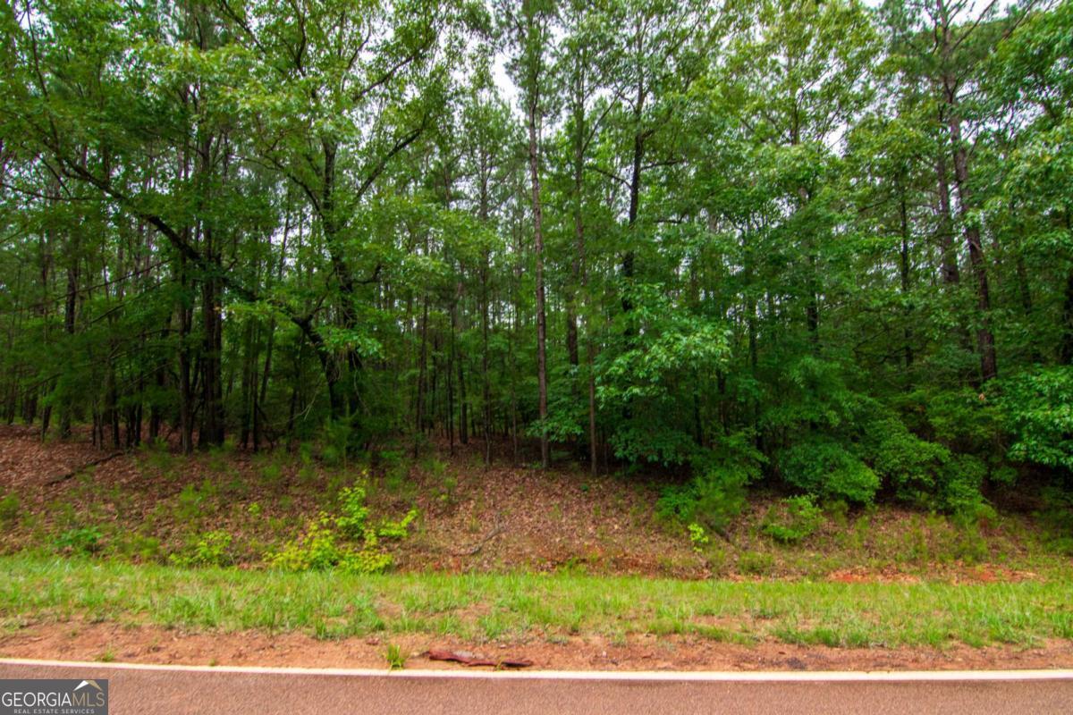 0 White Road Pine Mountain GA 31822