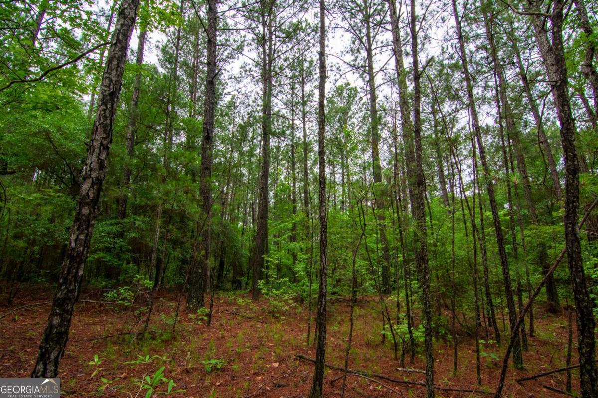 0 White Road Pine Mountain GA 31822
