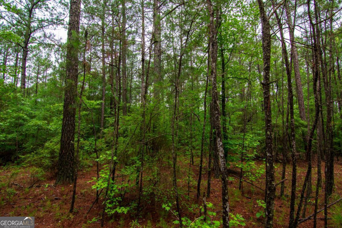 0 White Road Pine Mountain GA 31822