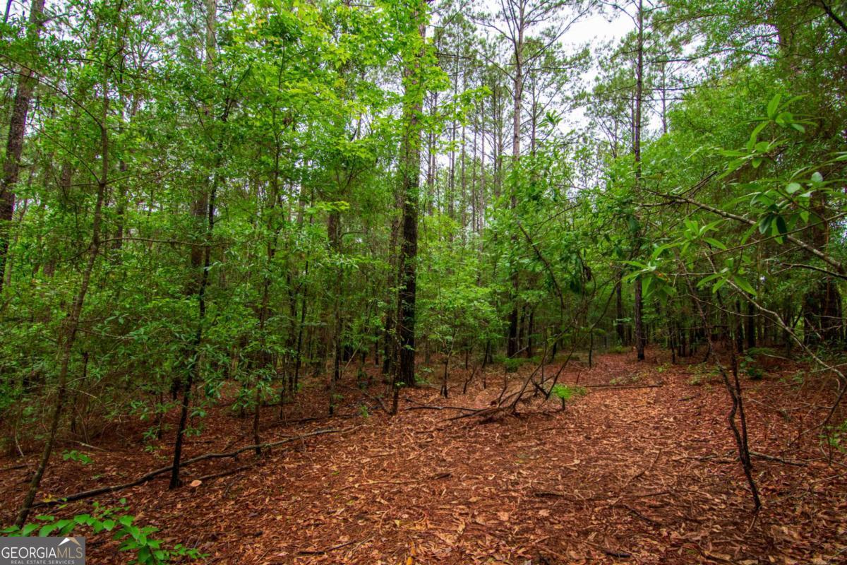 0 White Road Pine Mountain GA 31822