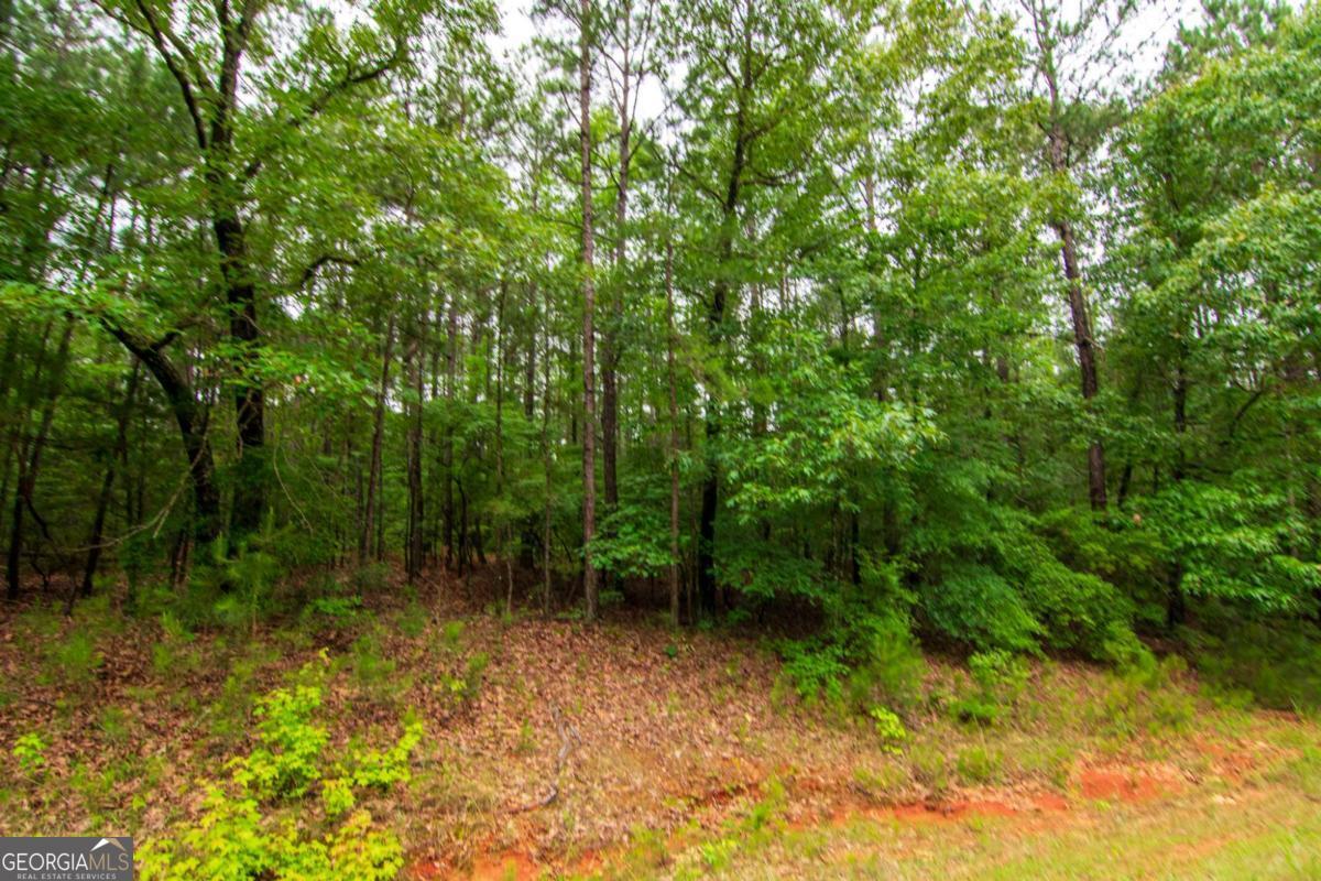 0 White Road Pine Mountain GA 31822