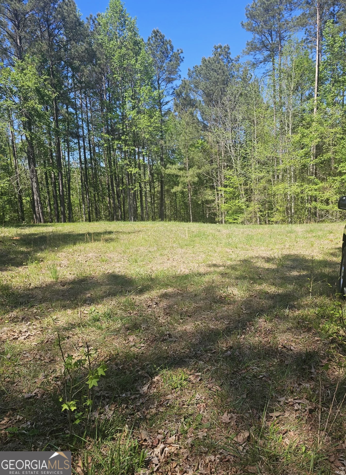 1041 Pintail Lane Madison GA 30650