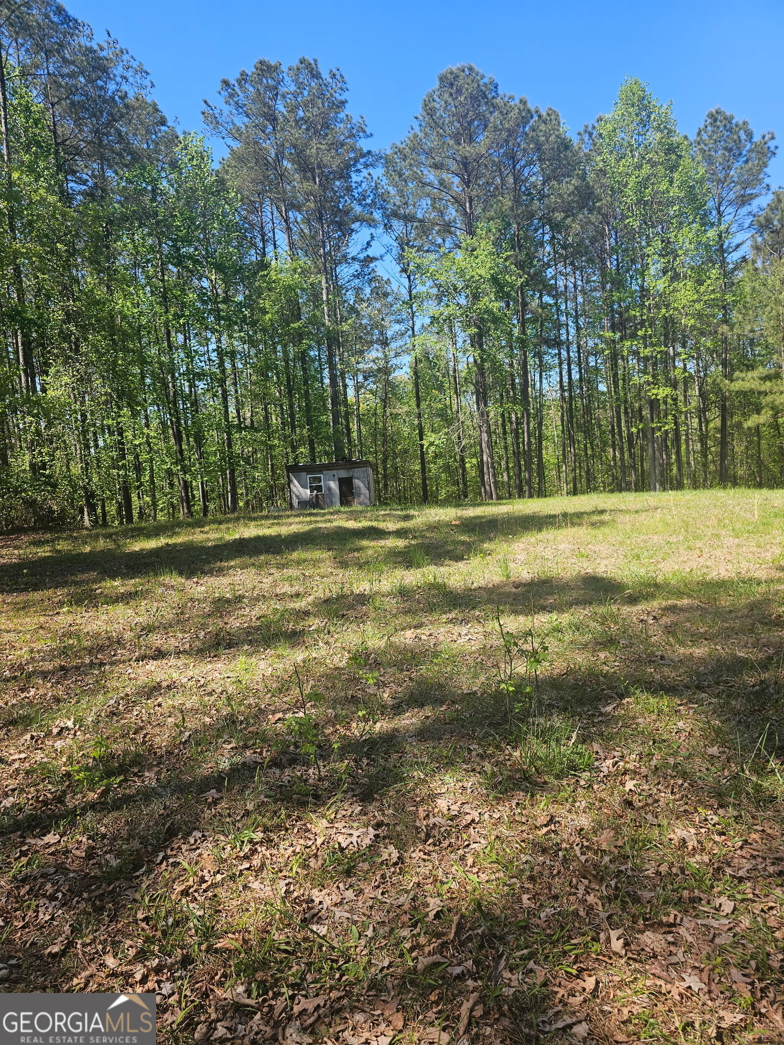 1041 Pintail Lane Madison GA 30650