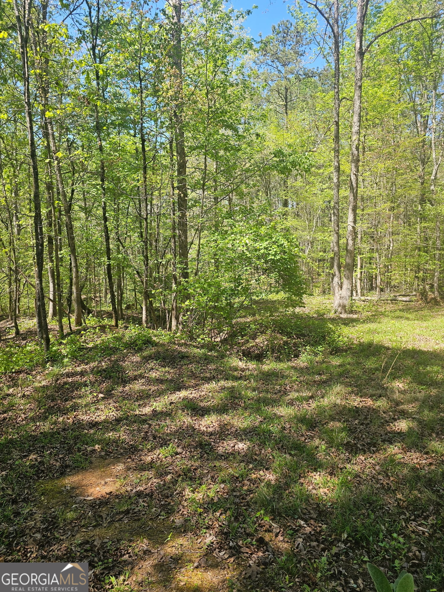 1041 Pintail Lane Madison GA 30650