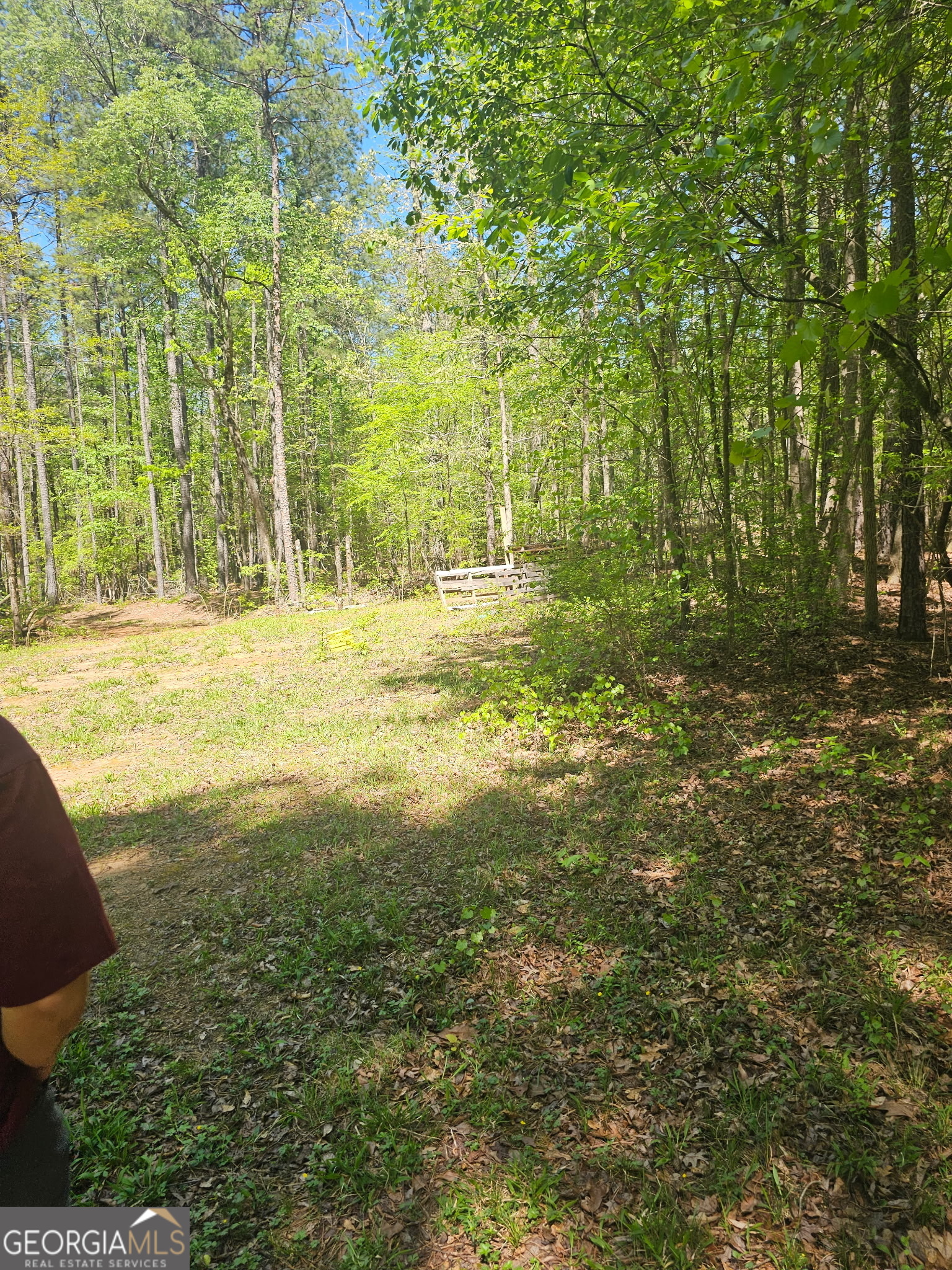 1041 Pintail Lane Madison GA 30650