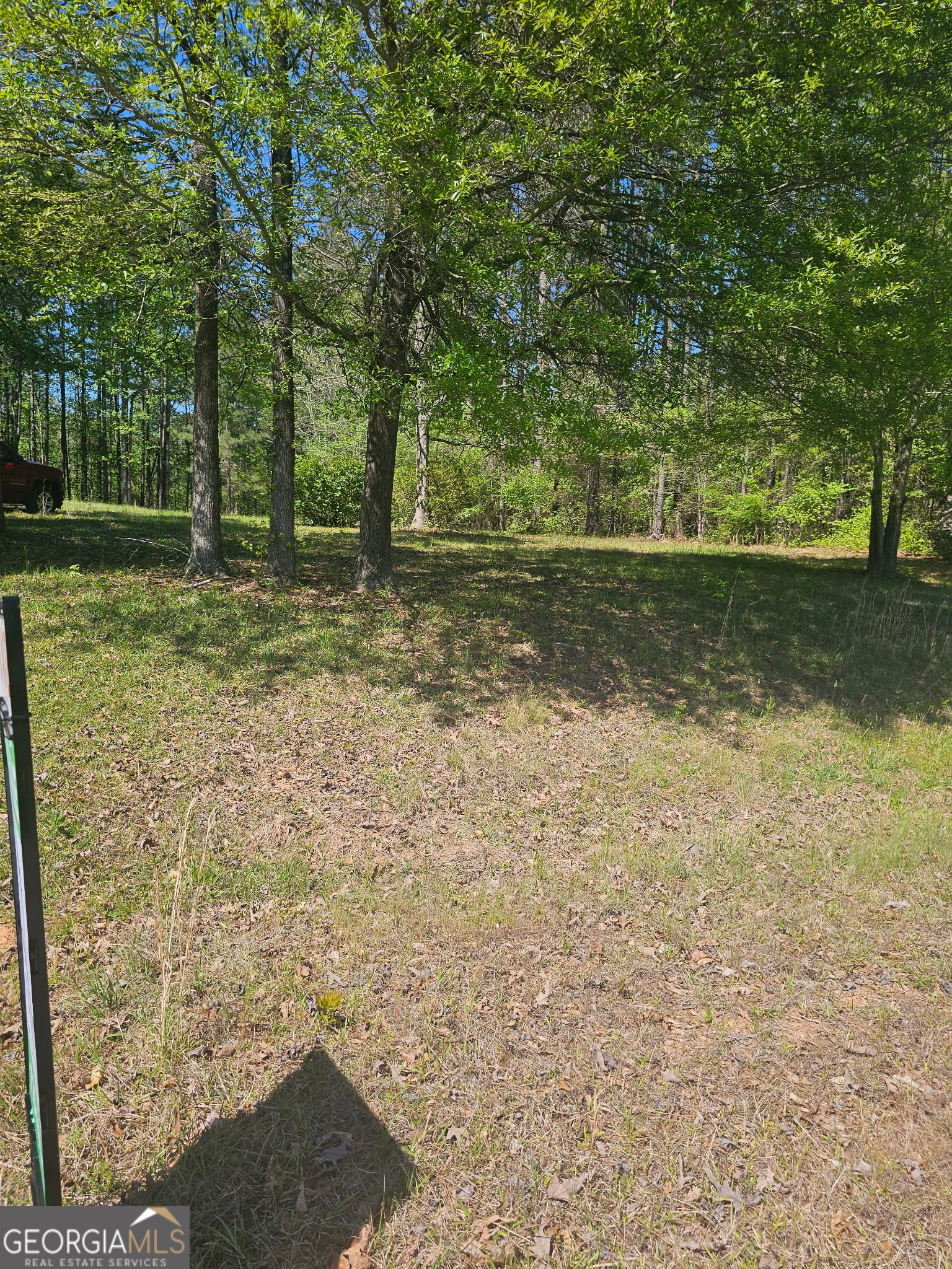 1041 Pintail Lane Madison GA 30650