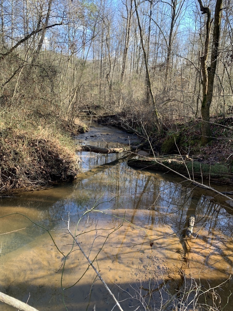 0 Pleasant Drive Cleveland GA 30528