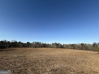 142 Wilson Musella GA 31066