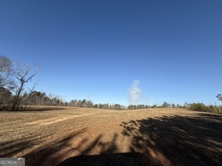 142 Wilson Musella GA 31066