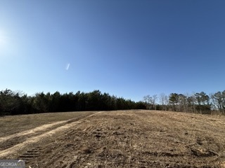 142 Wilson Musella GA 31066