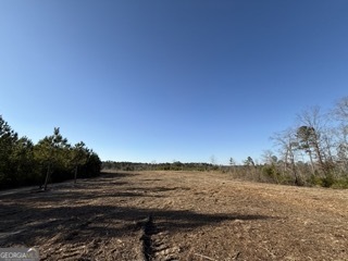142 Wilson Musella GA 31066