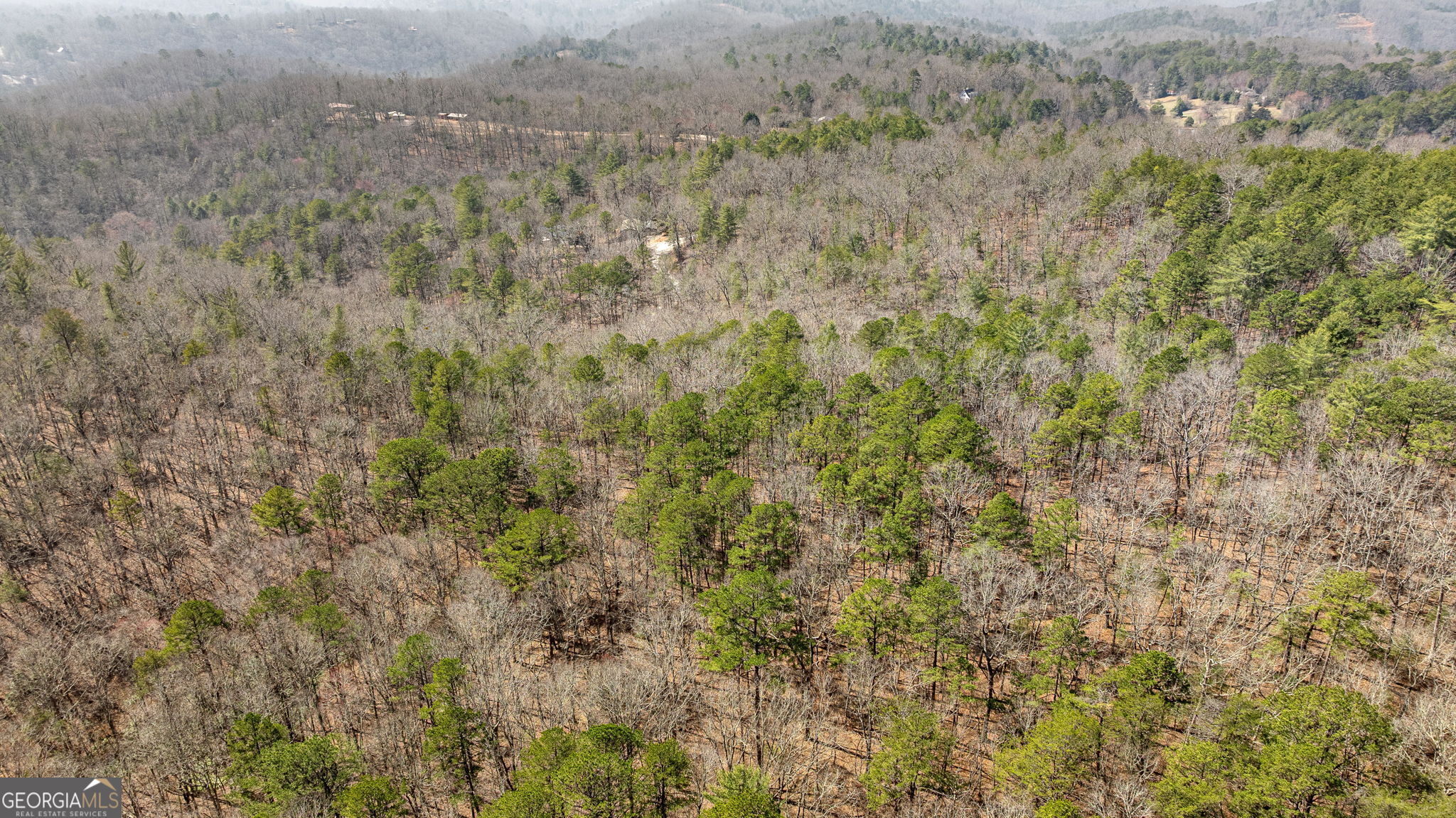 Tract 3 Old Mill Mineral Bluff GA 30559
