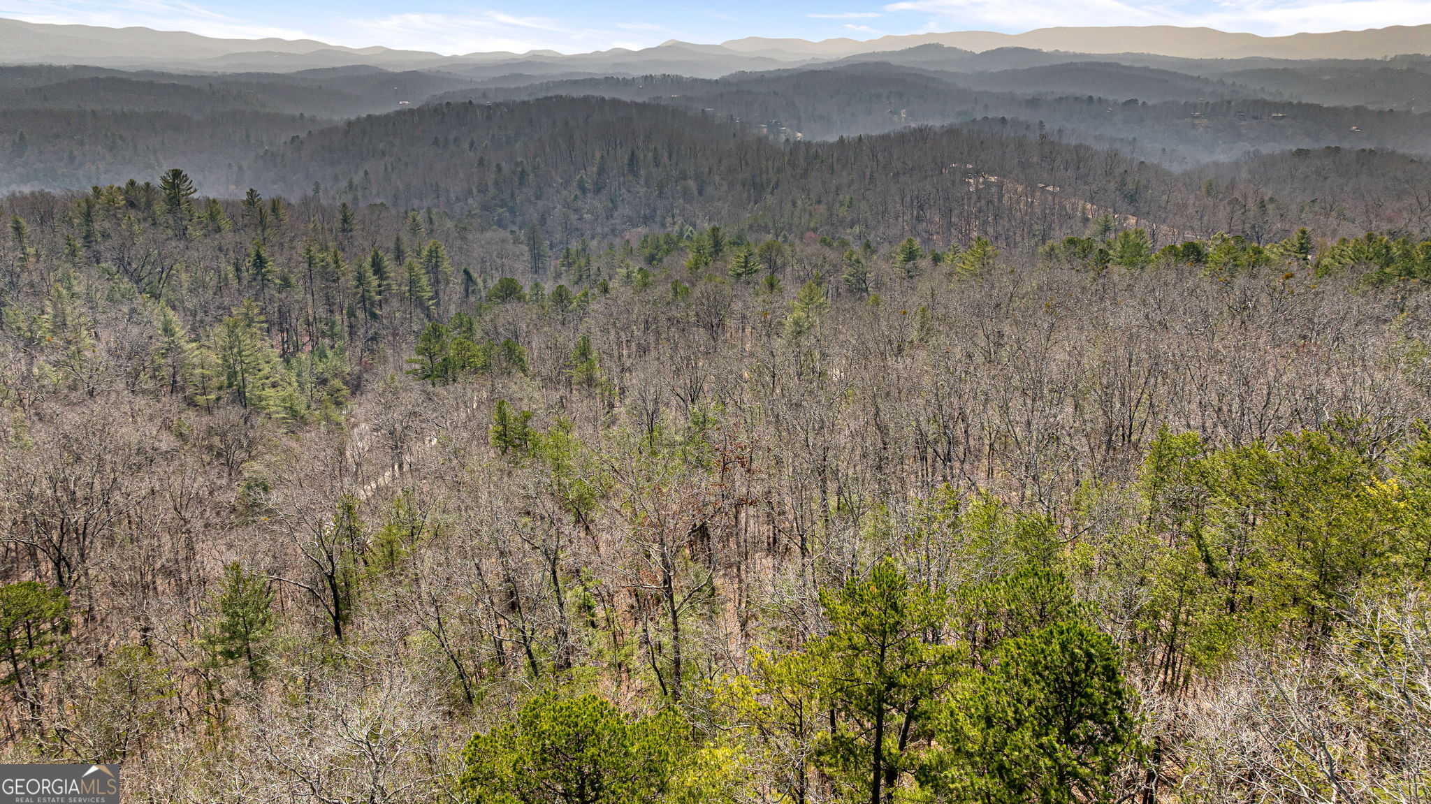 Tract 3 Old Mill Mineral Bluff GA 30559