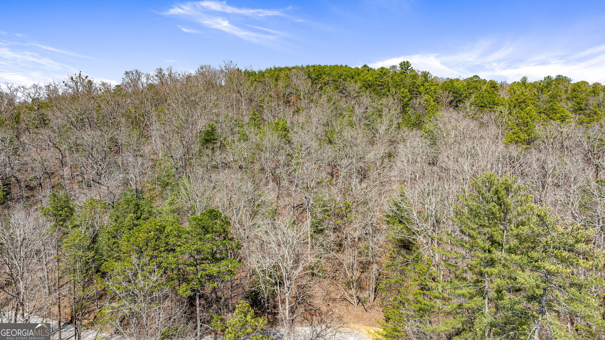 Tract 3 Old Mill Mineral Bluff GA 30559