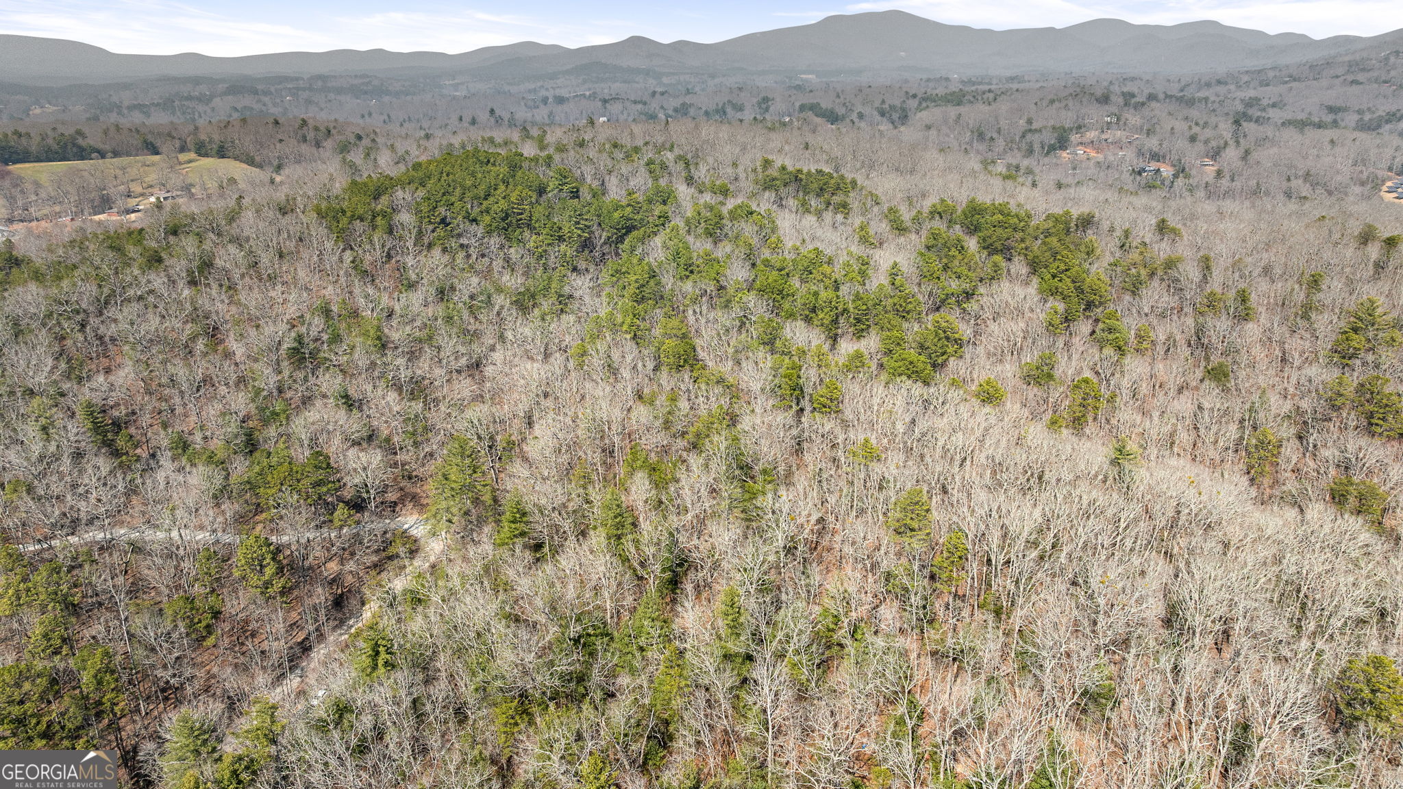 Tract 3 Old Mill Mineral Bluff GA 30559