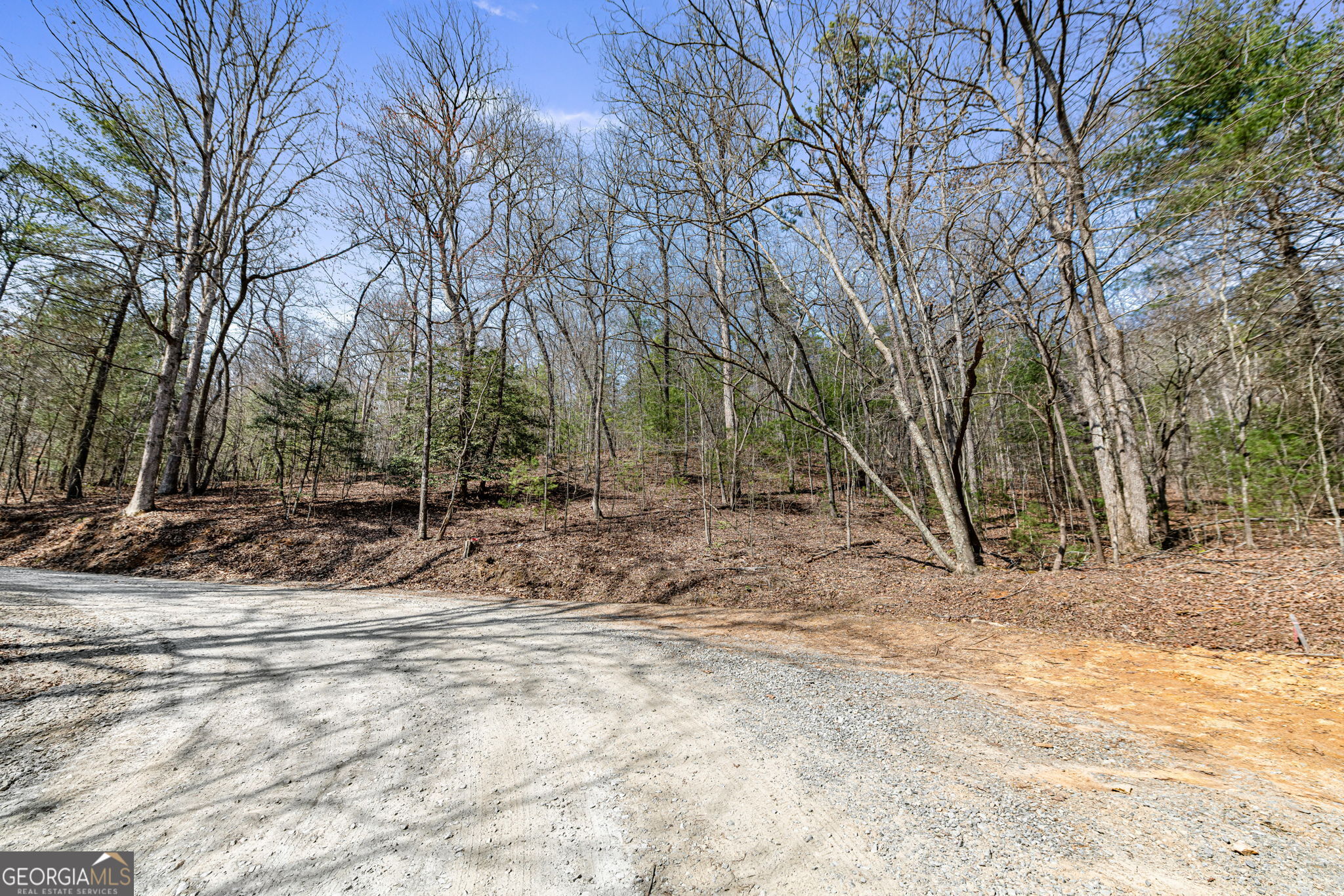 Tract 3 Old Mill Mineral Bluff GA 30559