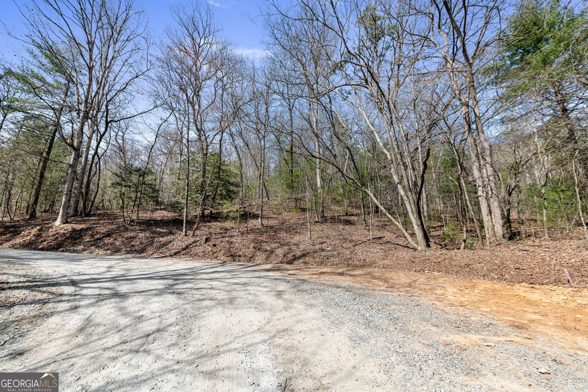Tract 3 Old Mill Mineral Bluff GA 30559