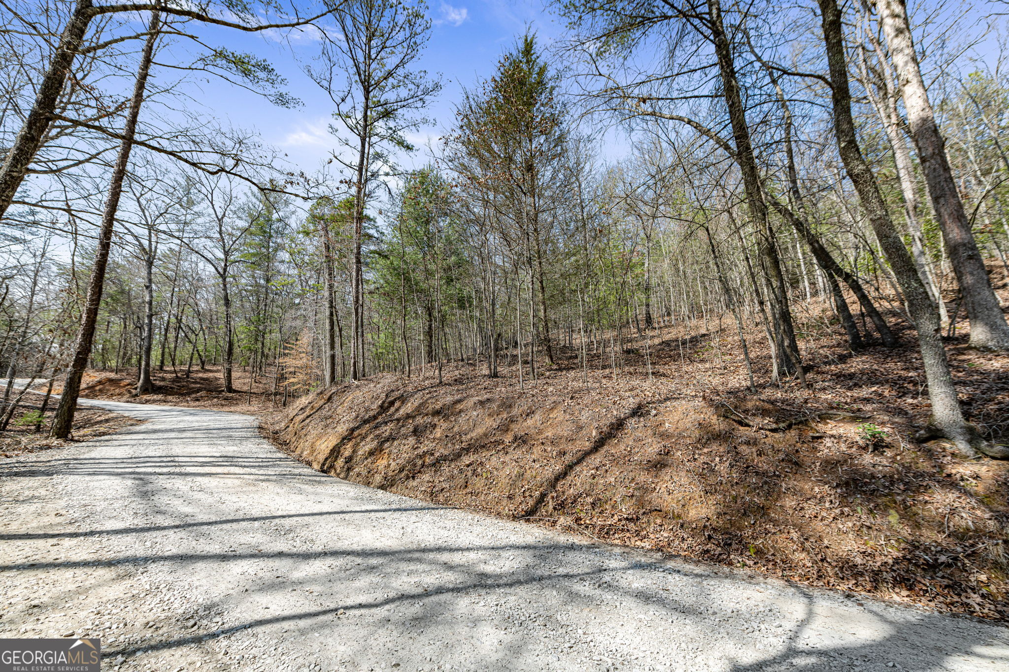 Tract 3 Old Mill Mineral Bluff GA 30559
