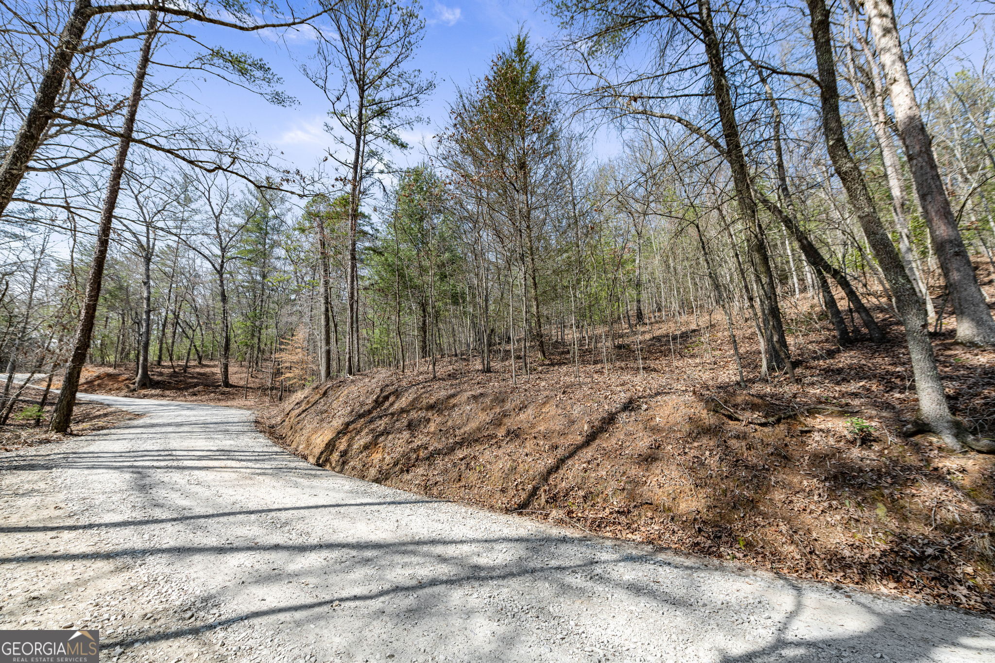 Tract 3 Old Mill Mineral Bluff GA 30559