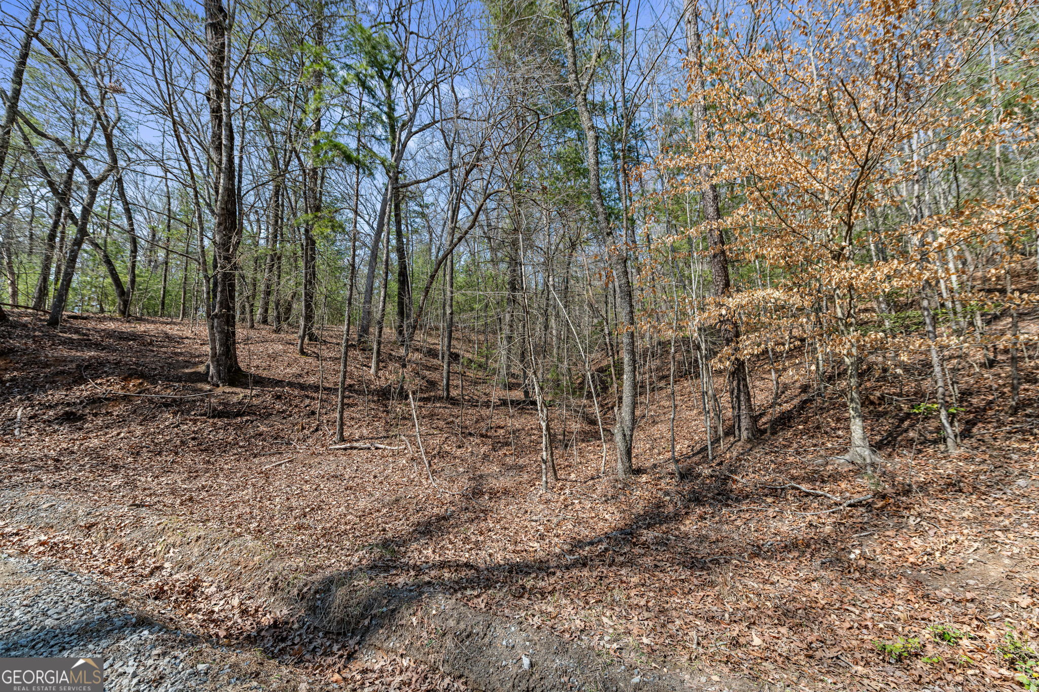 Tract 3 Old Mill Mineral Bluff GA 30559