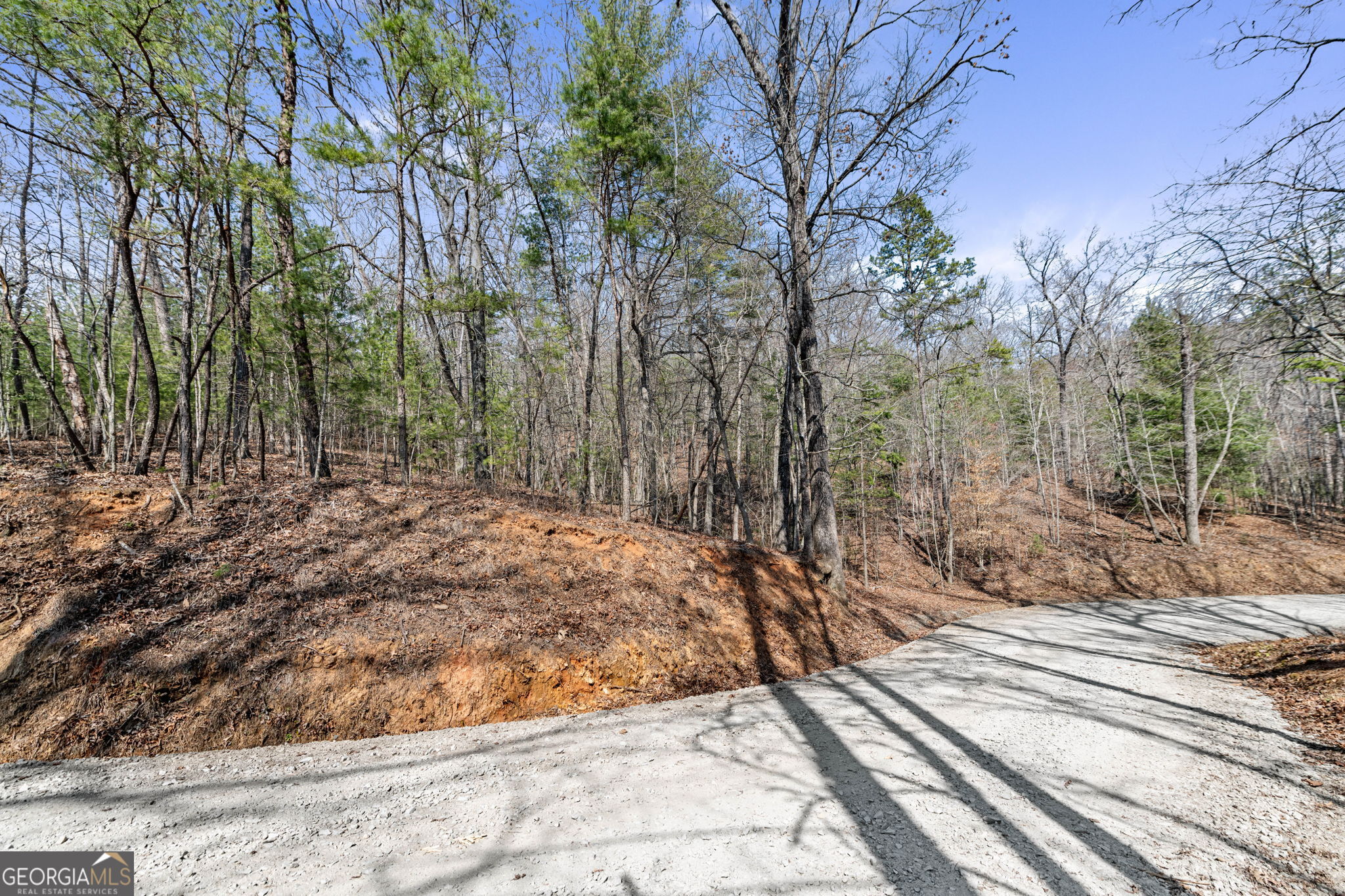 Tract 3 Old Mill Mineral Bluff GA 30559