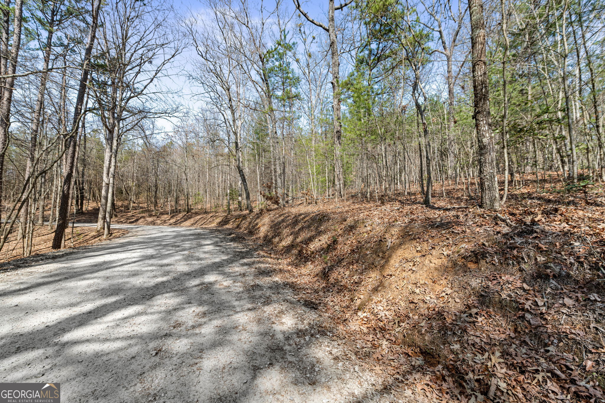 Tract 3 Old Mill Mineral Bluff GA 30559