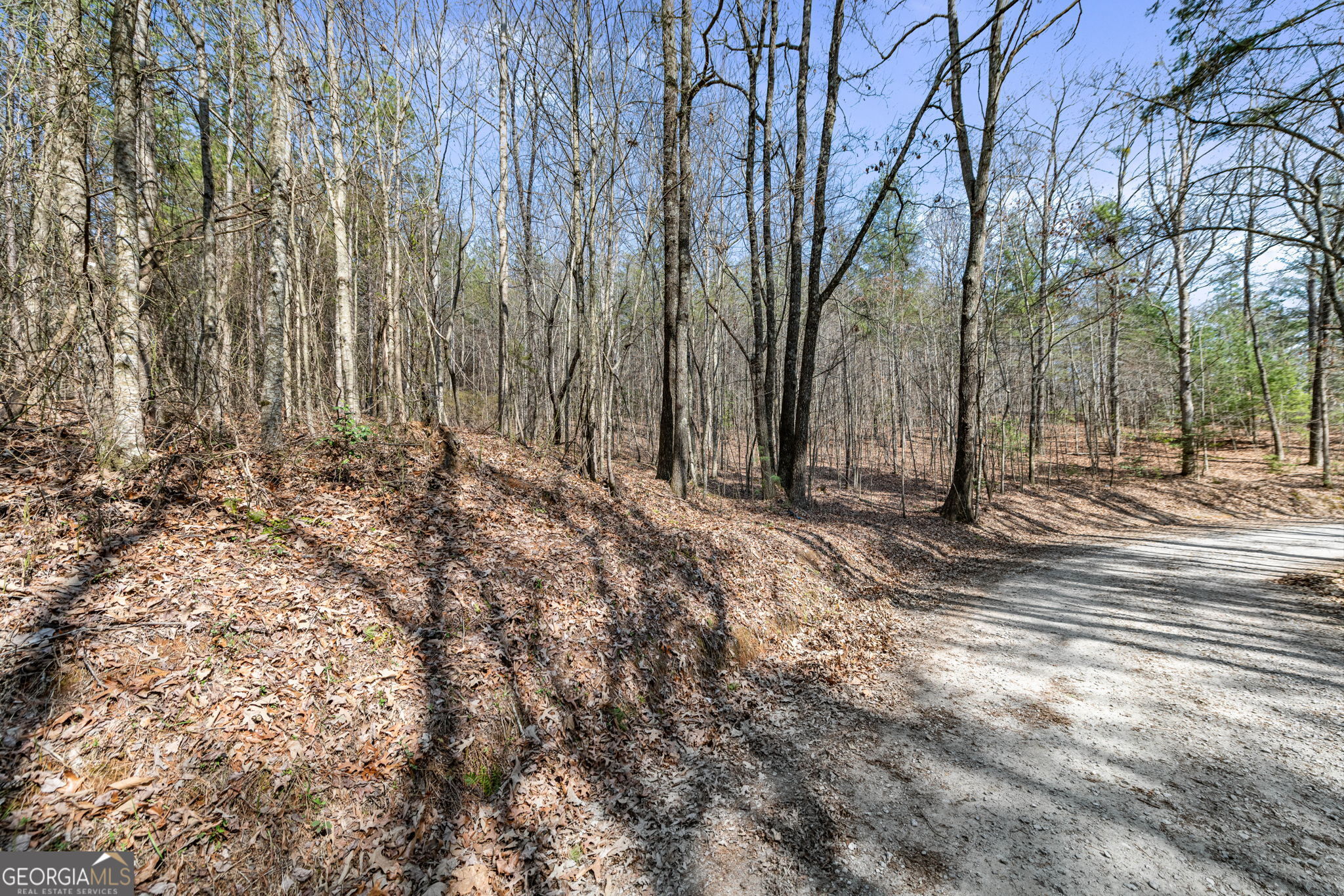 Tract 3 Old Mill Mineral Bluff GA 30559