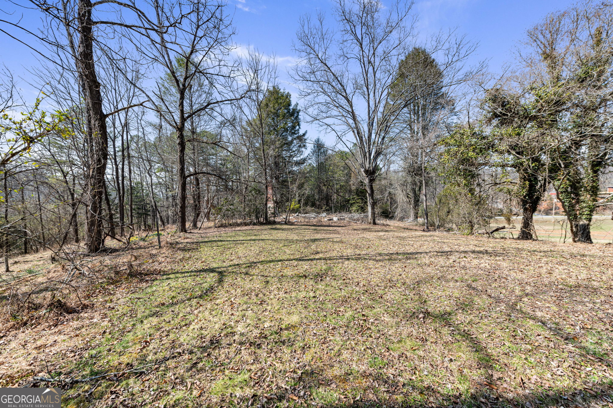 Tract 3 Old Mill Mineral Bluff GA 30559