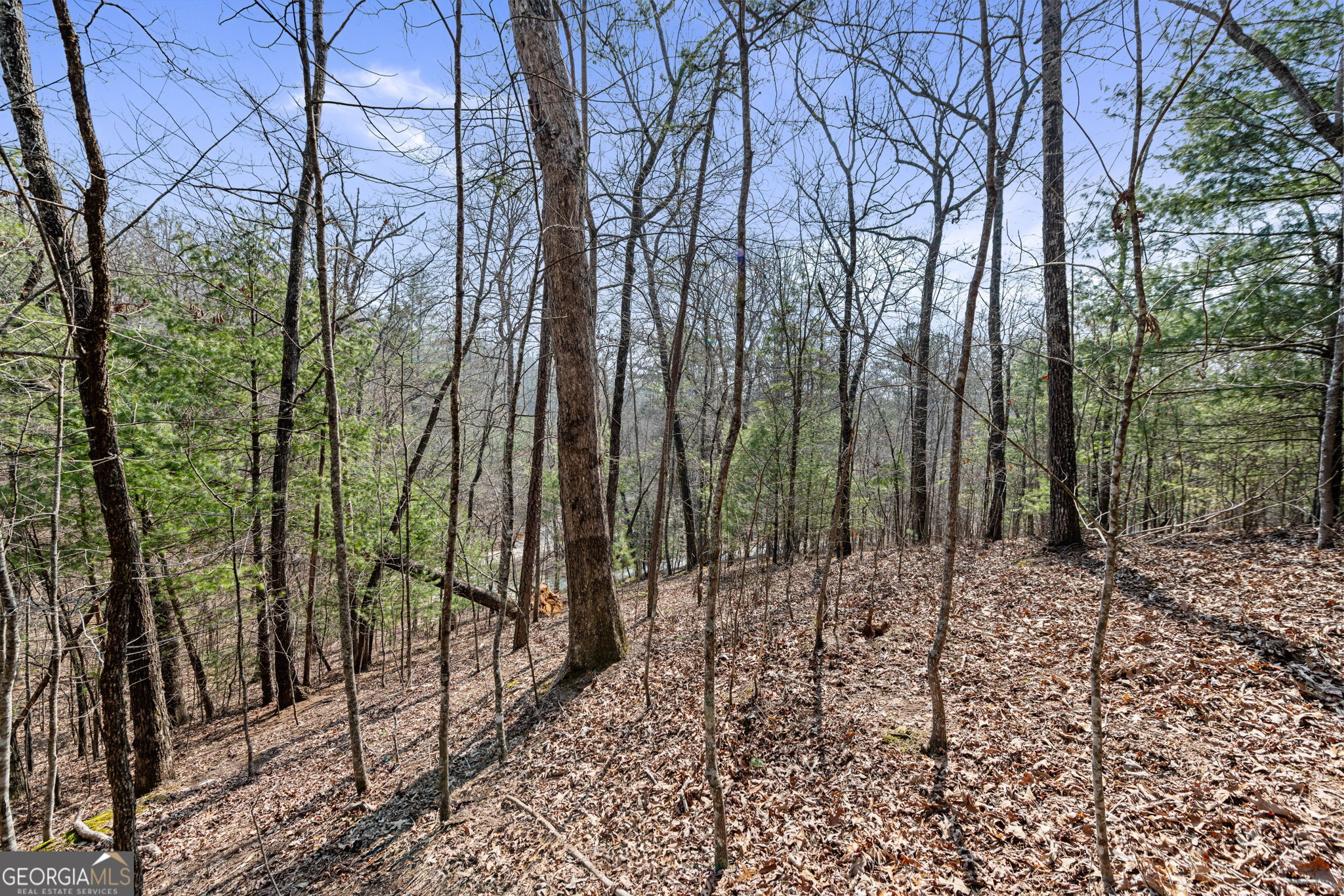 Tract 3 Old Mill Mineral Bluff GA 30559