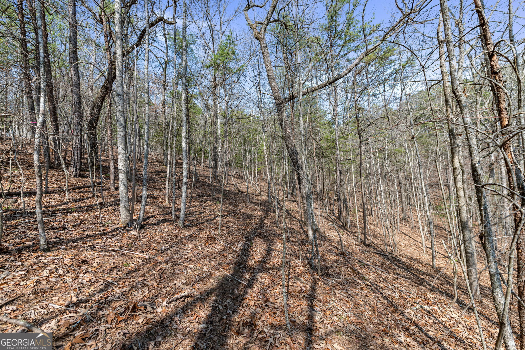 Tract 3 Old Mill Mineral Bluff GA 30559