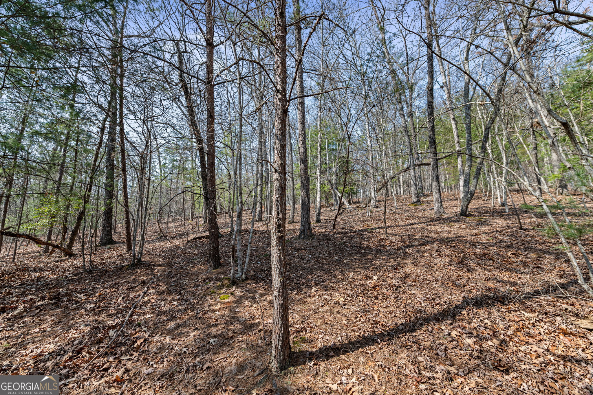Tract 3 Old Mill Mineral Bluff GA 30559