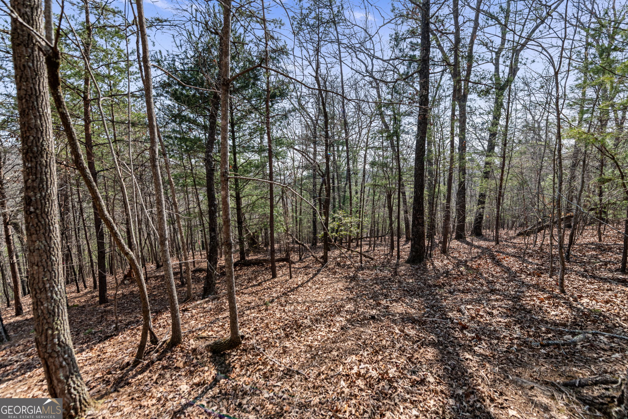 Tract 3 Old Mill Mineral Bluff GA 30559