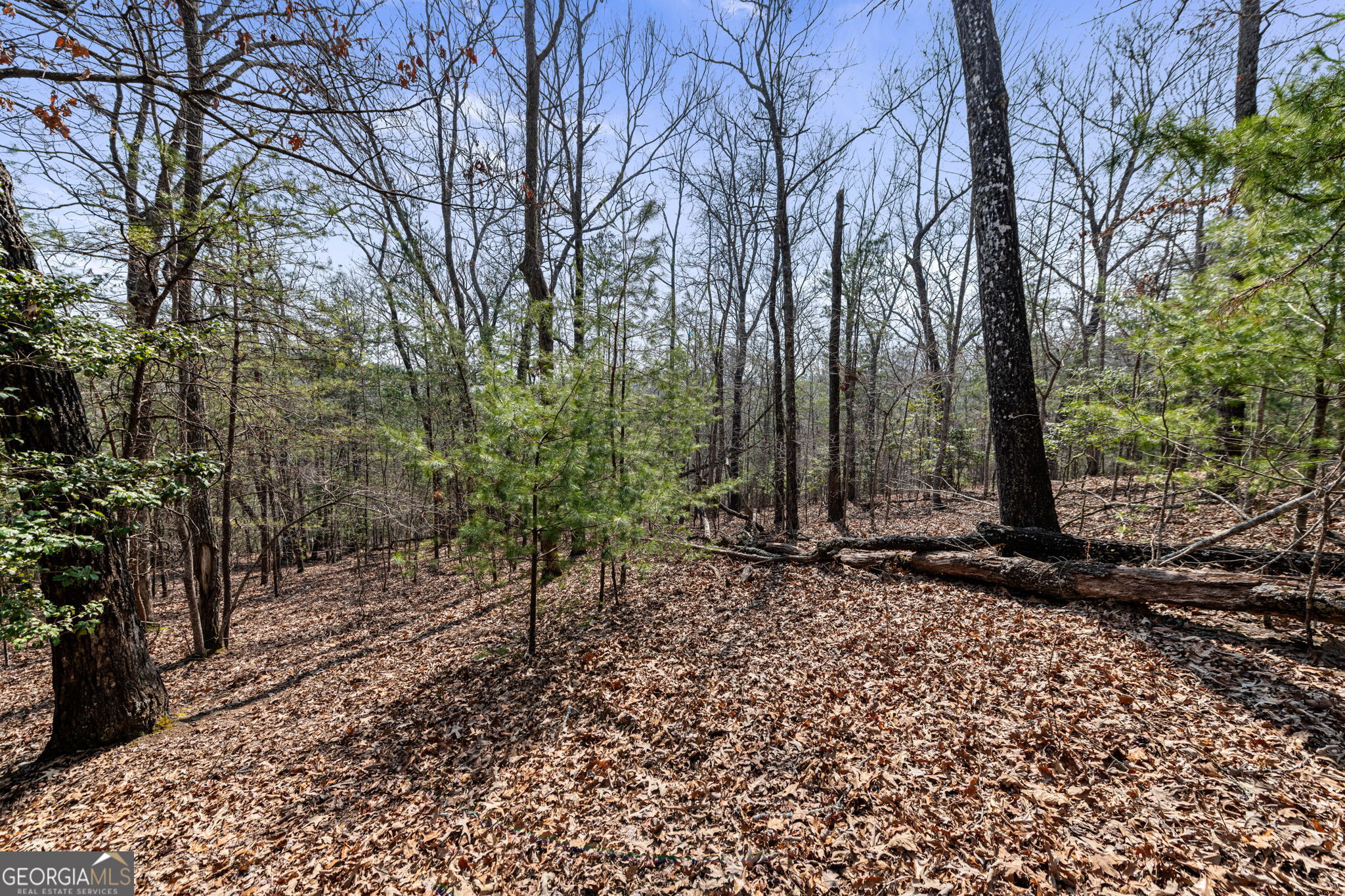 Tract 3 Old Mill Mineral Bluff GA 30559