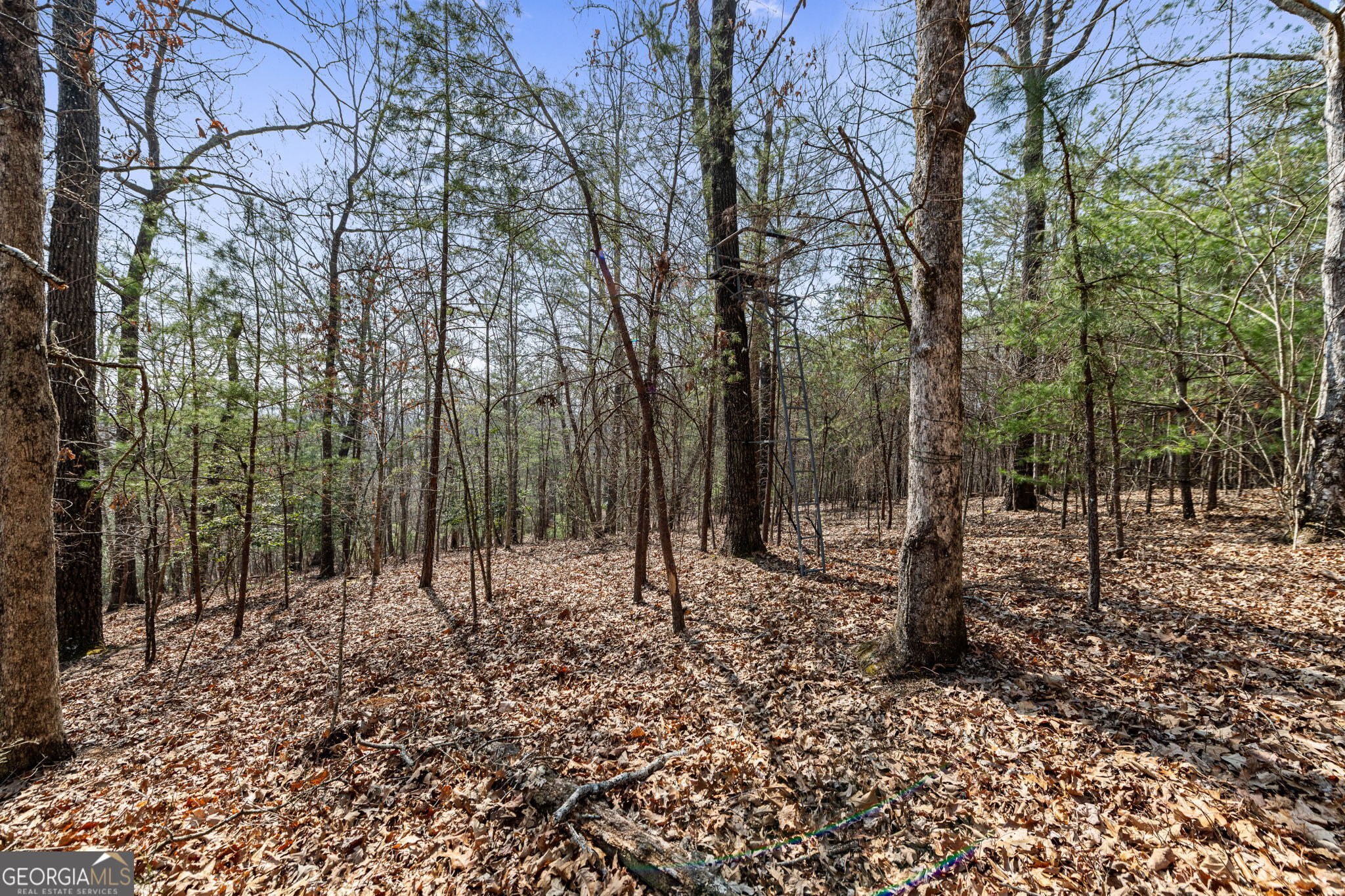 Tract 3 Old Mill Mineral Bluff GA 30559