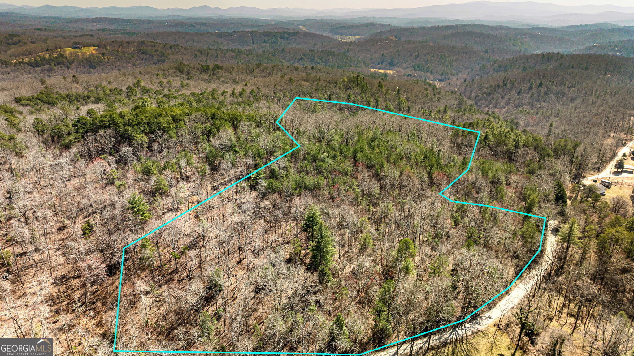 Tract 3 Old Mill Mineral Bluff GA 30559