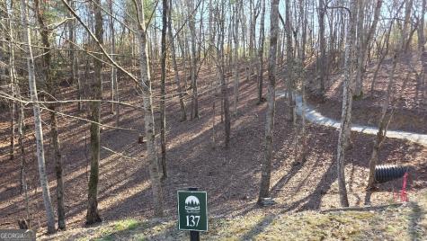 137 Red Oak Trail East Ellijay GA 30540