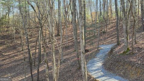 137 Red Oak Trail East Ellijay GA 30540
