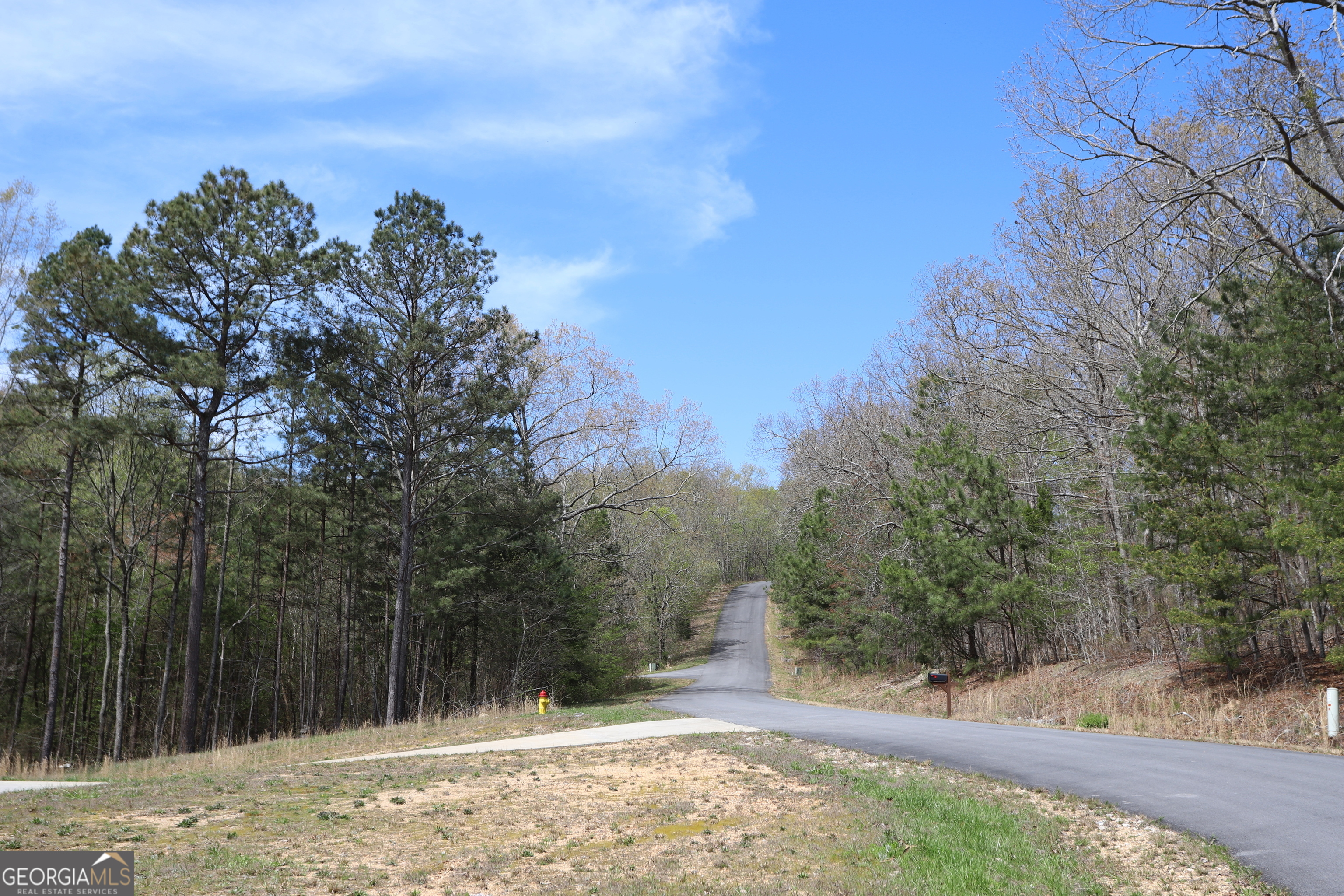 0 Lake View Circle Summerville GA 30747