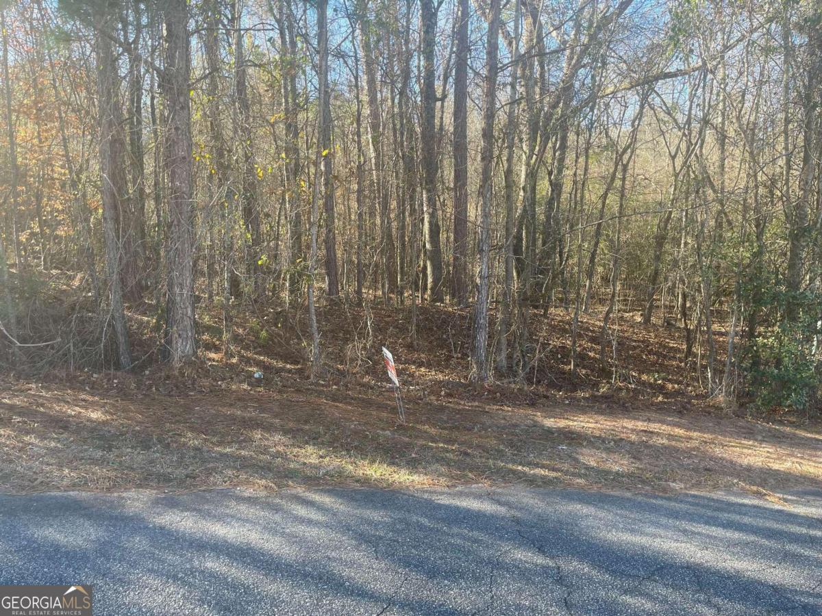 168 Waters Pointe Lizella GA 31052