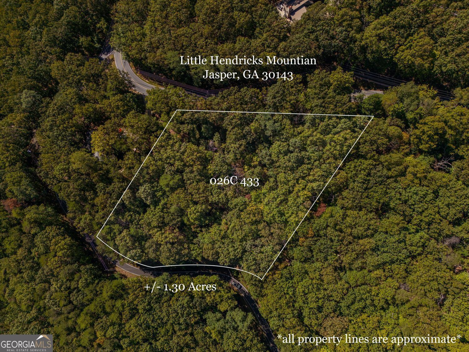 0 Little Hendricks Mountain Road Jasper GA 30143