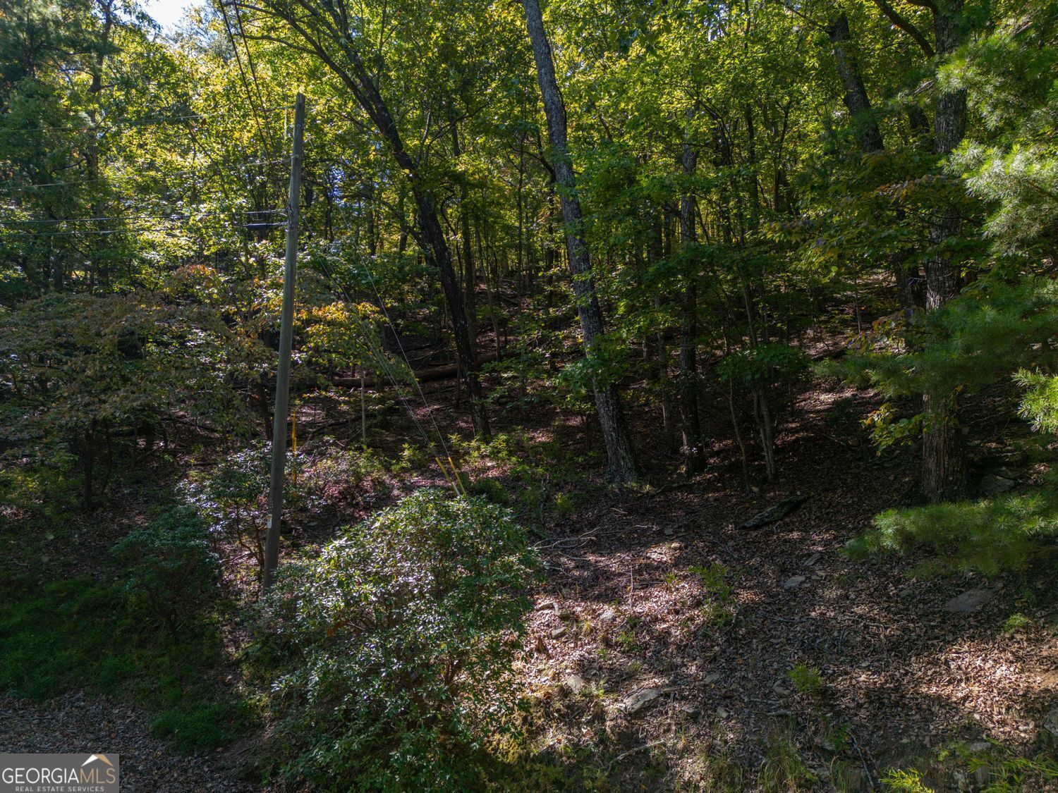 0 Little Hendricks Mountain Road Jasper GA 30143