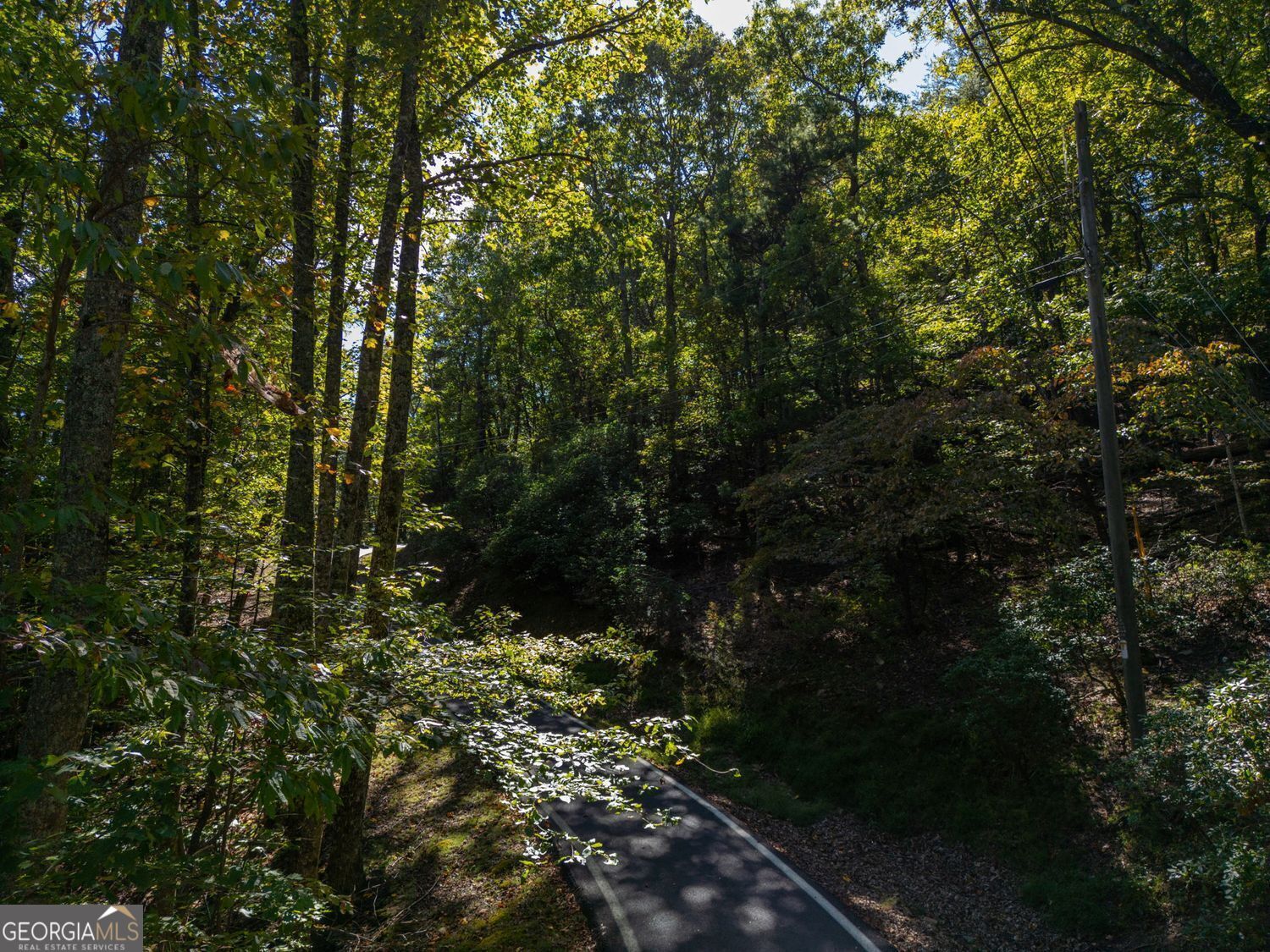 0 Little Hendricks Mountain Road Jasper GA 30143