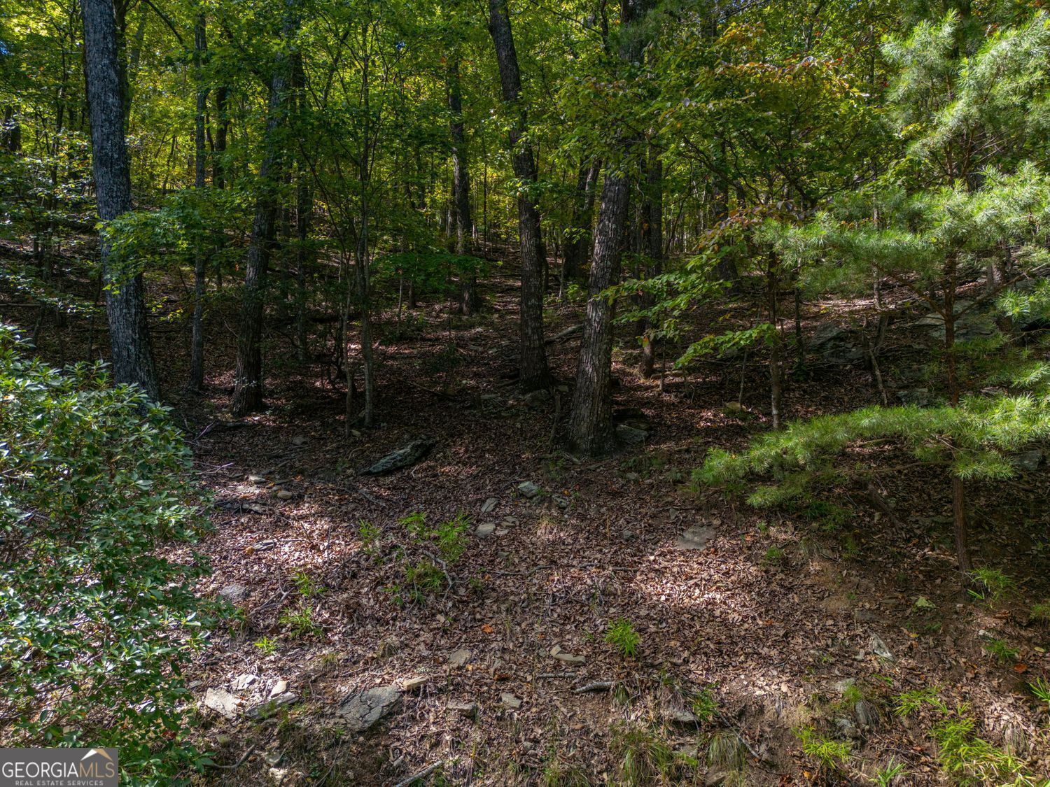 0 Little Hendricks Mountain Road Jasper GA 30143