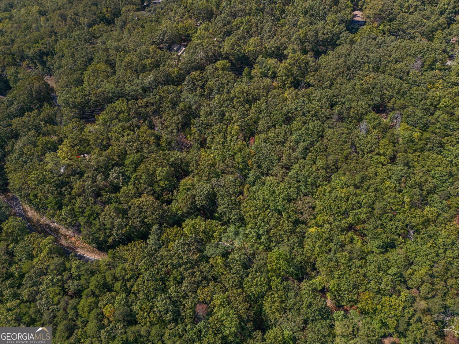 0 Little Hendricks Mountain Road Jasper GA 30143