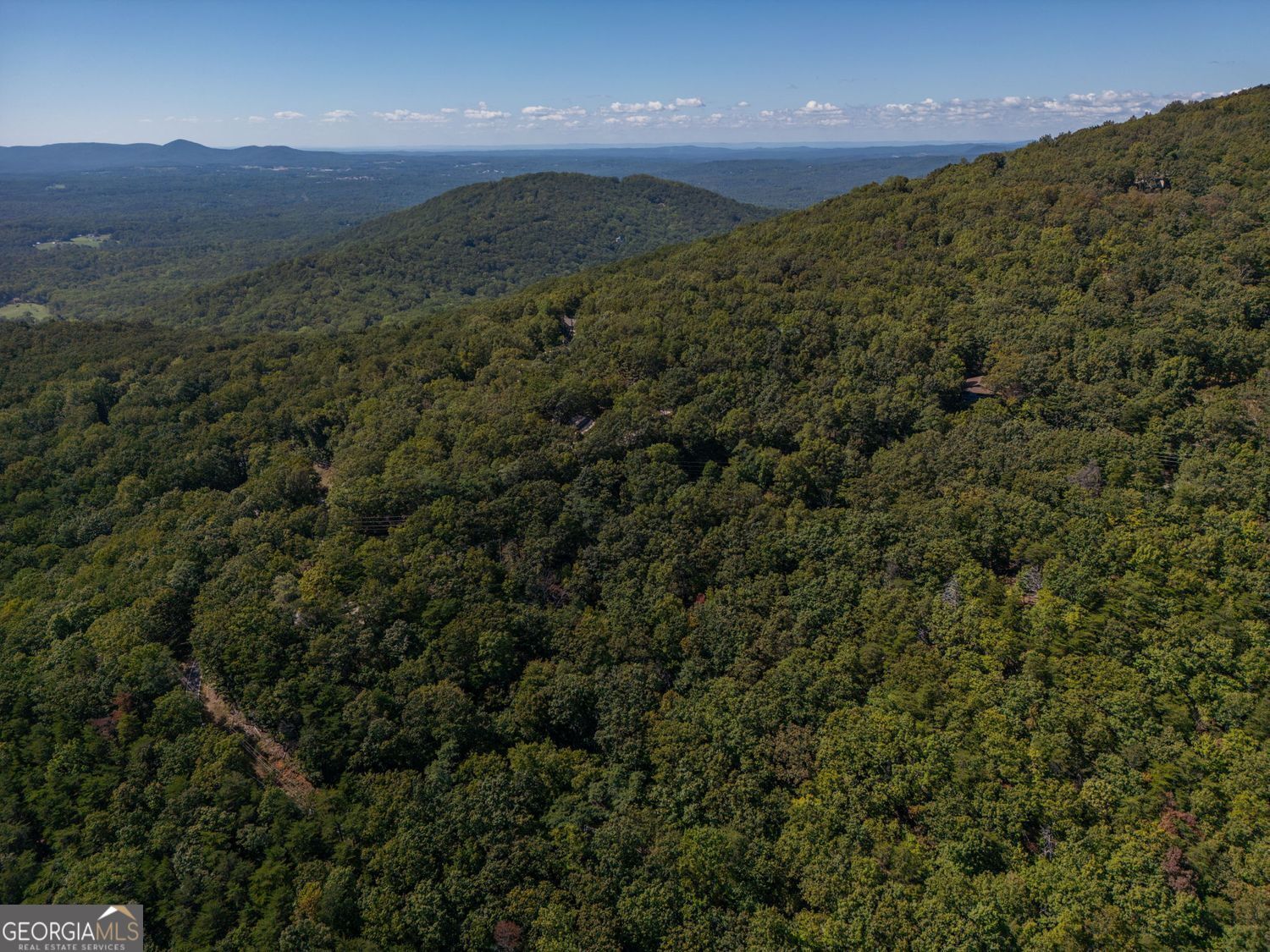 0 Little Hendricks Mountain Road Jasper GA 30143