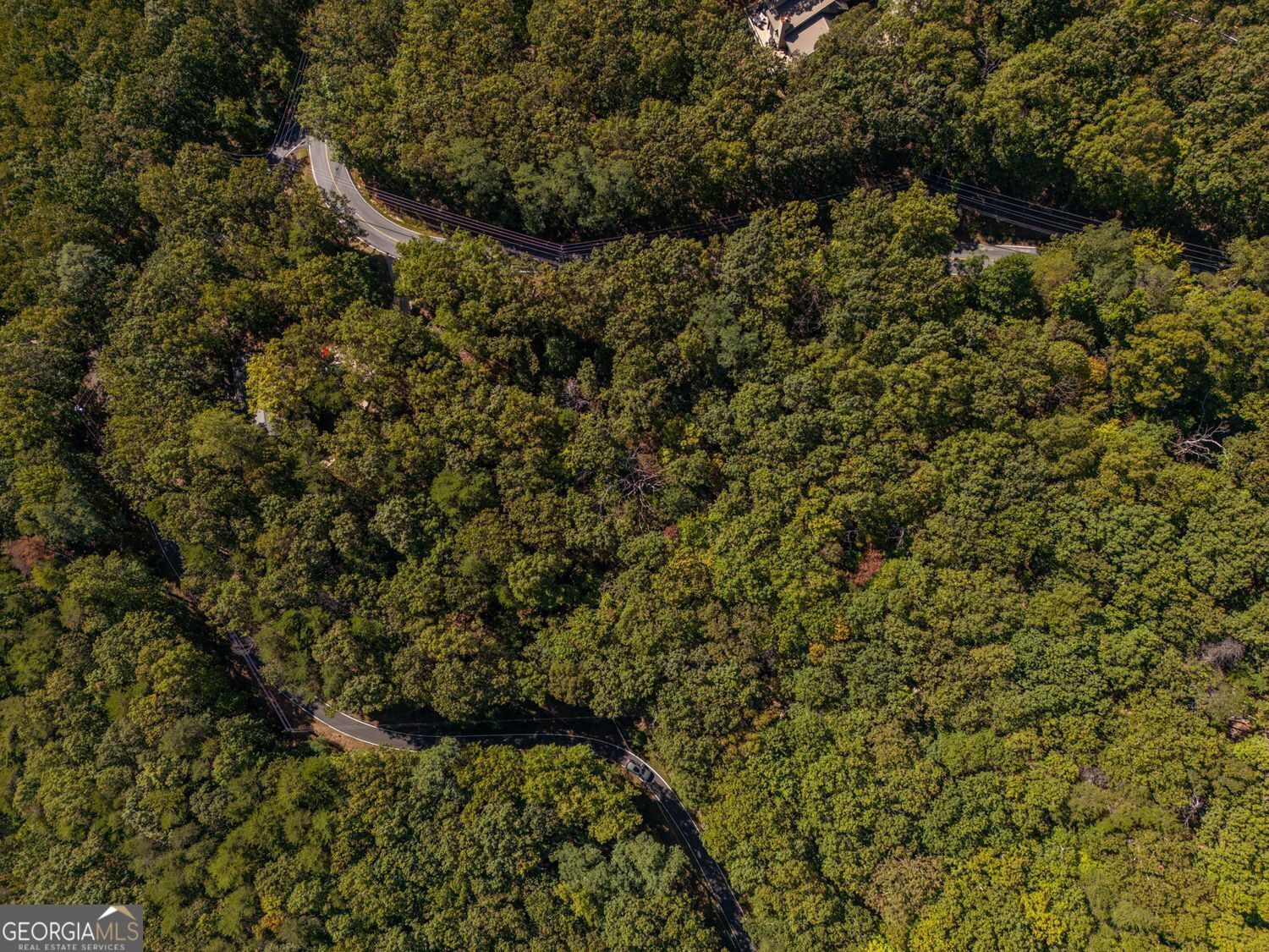 0 Little Hendricks Mountain Road Jasper GA 30143
