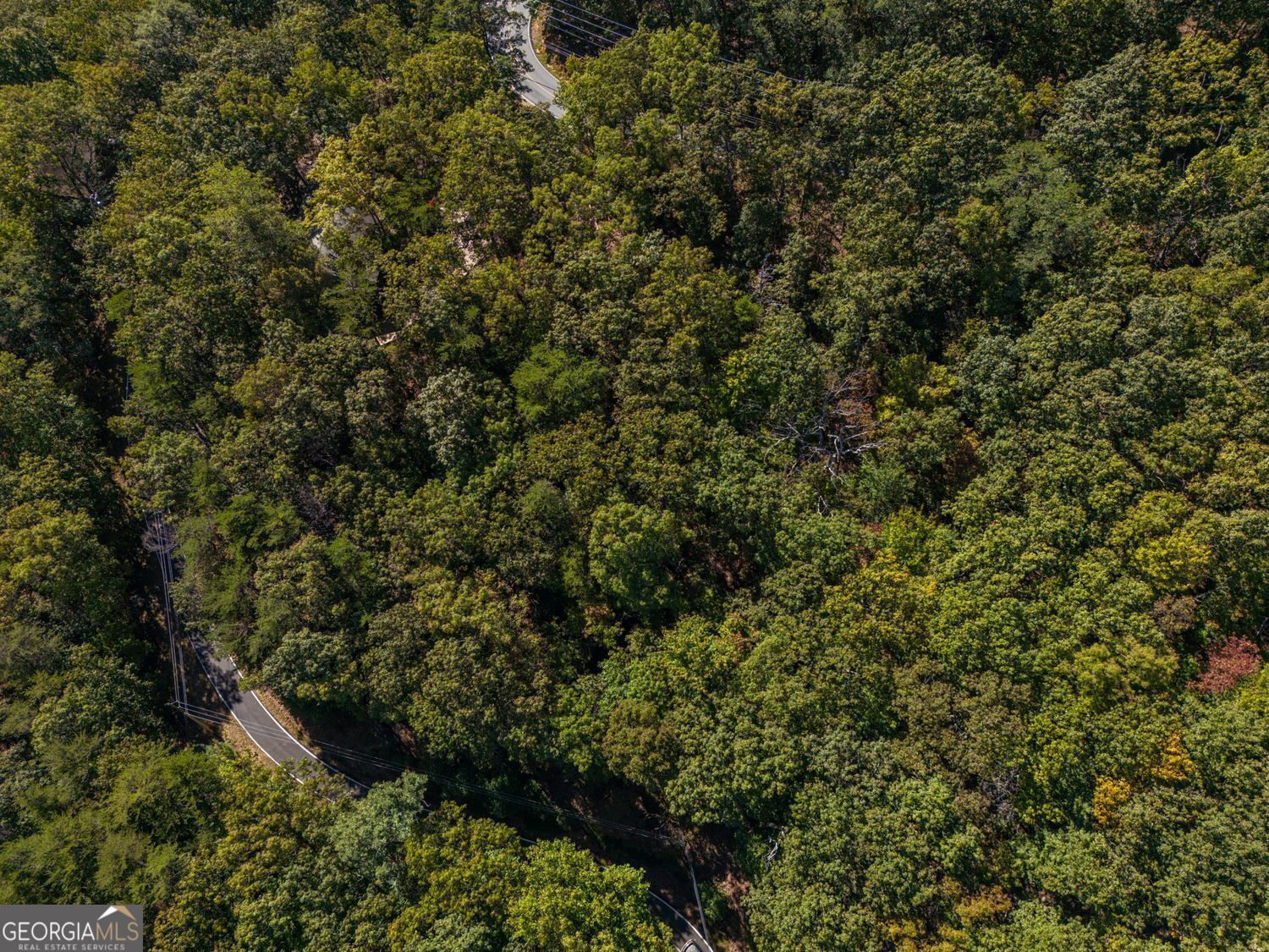 0 Little Hendricks Mountain Road Jasper GA 30143