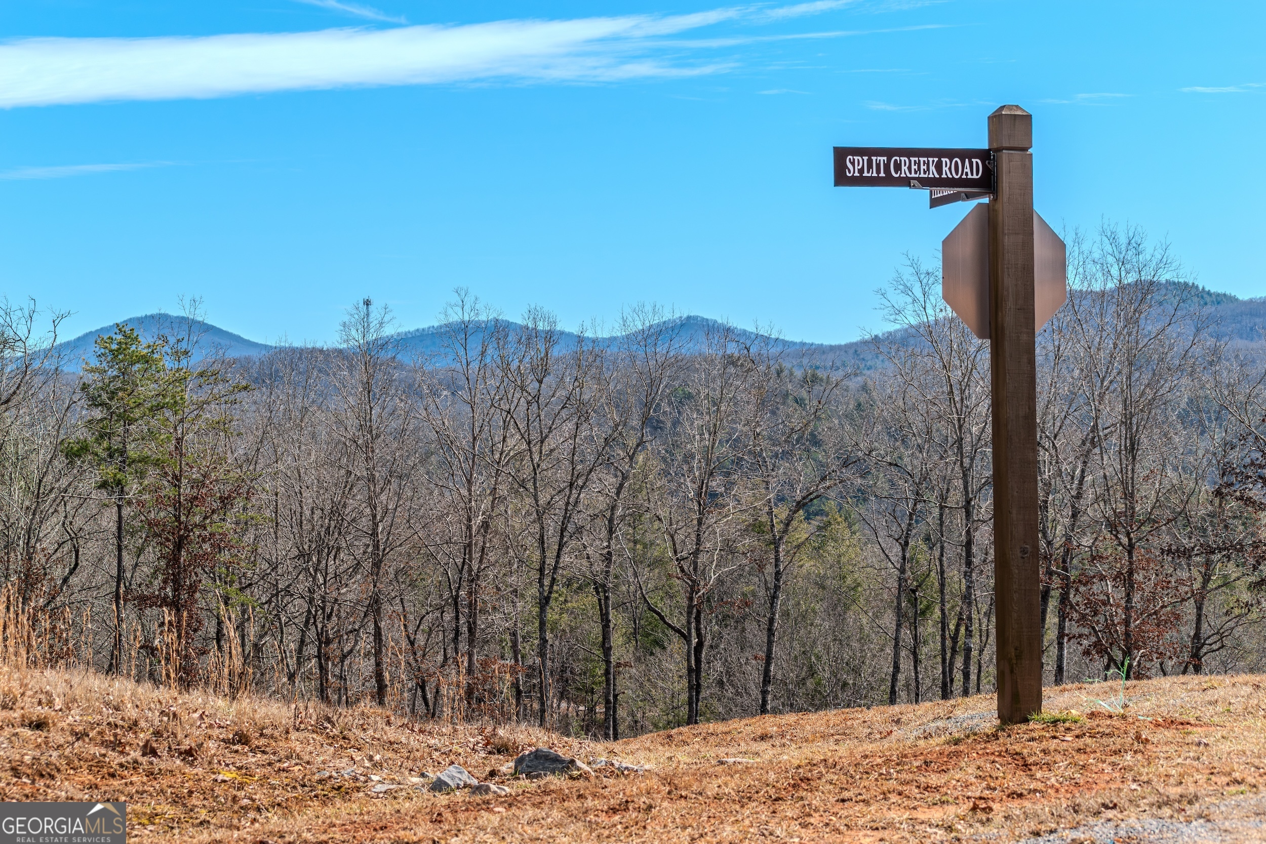 Lot 61 Ridges Drive Blue Ridge GA 30513